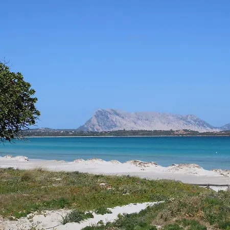 Casa X 10 Persone Sulla Spiaggia Della Cintavista Mare A 5 M 4 Stanze Da Letto E Divano Letto *