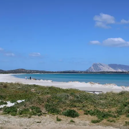 Casa X 10 Persone Sulla Spiaggia Della Cintavista Mare A 5 M 4 Stanze Da Letto E Divano Letto Villa *