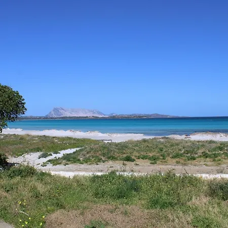 Casa X 10 Persone Sulla Spiaggia Della Cintavista Mare A 5 M 4 Stanze Da Letto E Divano Letto *