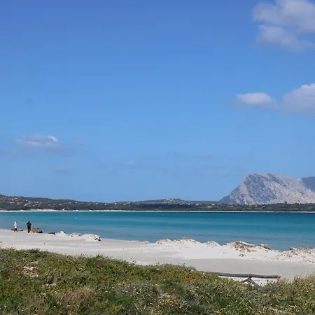 Villa Casa X 10 Persone Sulla Spiaggia Della Cintavista Mare A 5 M 4 Stanze Da Letto E Divano Letto