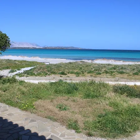 Casa X 10 Persone Sulla Spiaggia Della Cintavista Mare A 5 M 4 Stanze Da Letto E Divano Letto Villa