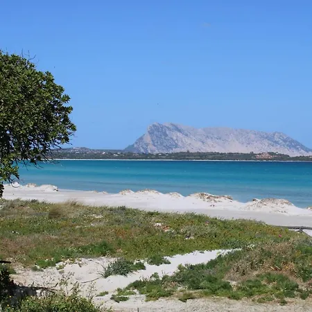 Casa X 10 Persone Sulla Spiaggia Della Cintavista Mare A 5 M 4 Stanze Da Letto E Divano Letto Villa San Teodoro (Sardinia)