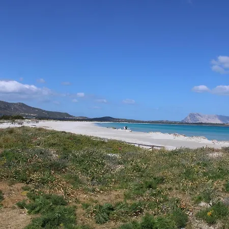 Casa X 10 Persone Sulla Spiaggia Della Cintavista Mare A 5 M 4 Stanze Da Letto E Divano Letto Villa